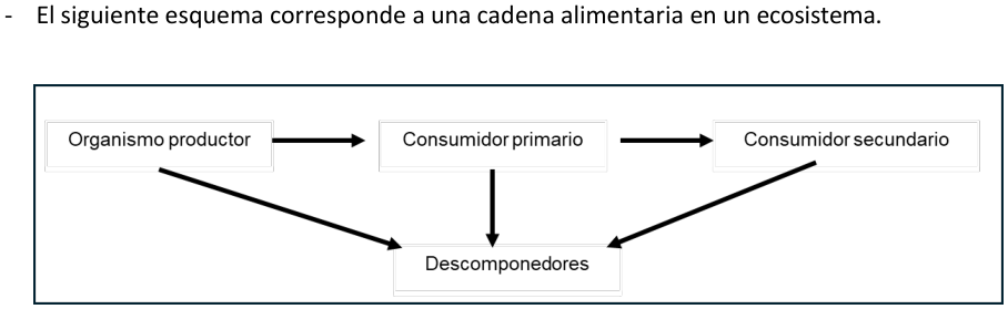 Texto o figura de apoyo para la pregunta 3 del examen de Ciencias Naturales (Nivel Básico 2)