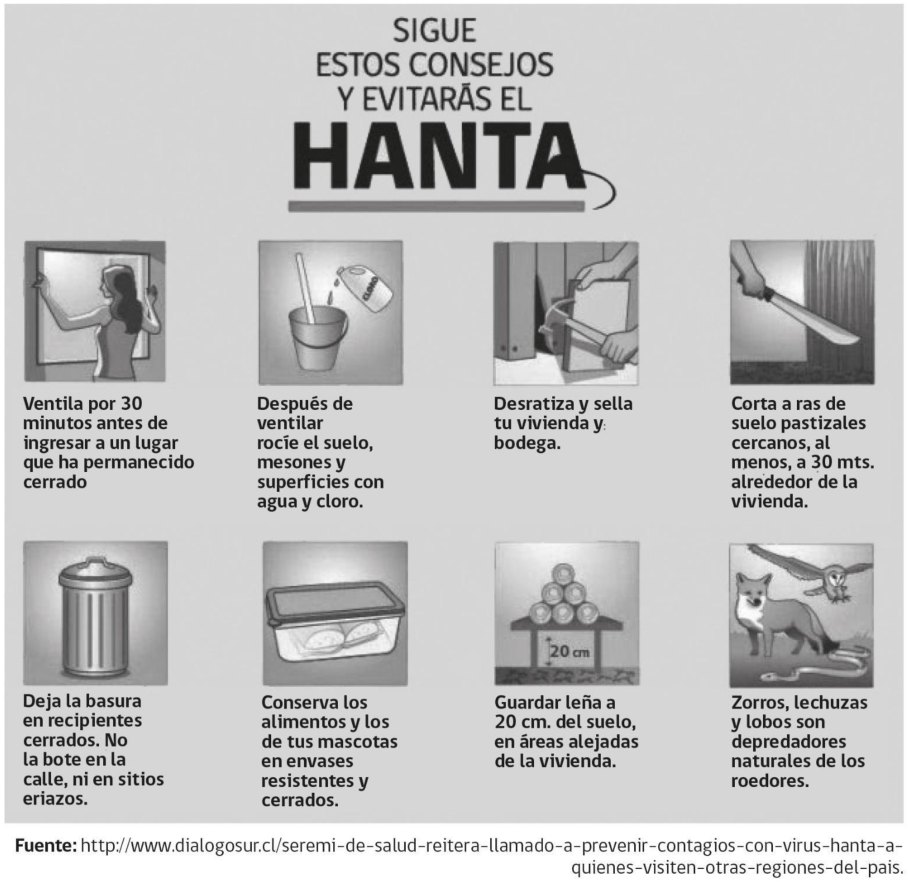 Texto o figura de apoyo para las preguntas 1 a 4 del examen de Lenguaje y Comunicación (Nivel Básico 2)